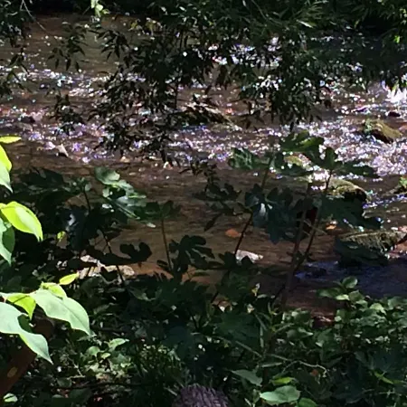 Minshuku D'hotes Japonaises 3*