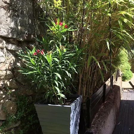 Minshuku D'hotes Japonaises Bed & Breakfast Thiers