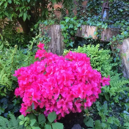 Minshuku D'hotes Japonaises Bed & Breakfast