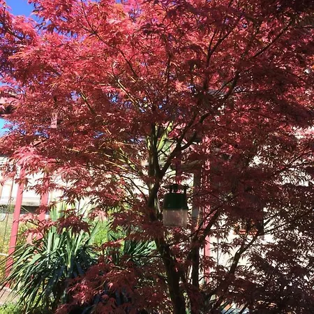 Minshuku D'hotes Japonaises Bed & Breakfast