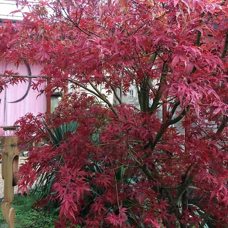 Minshuku D'hotes Japonaises Bed & Breakfast