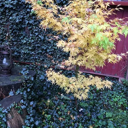 Minshuku D'hotes Japonaises 3* Thiers